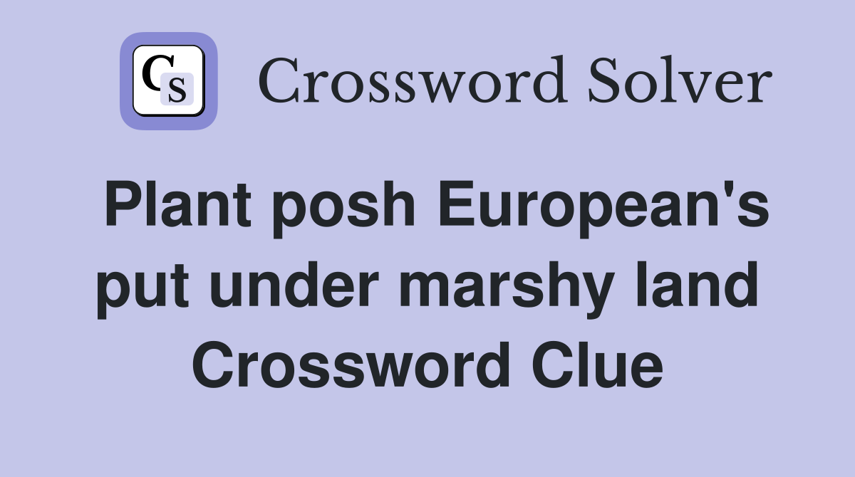 Plant posh European's put under marshy land Crossword Clue