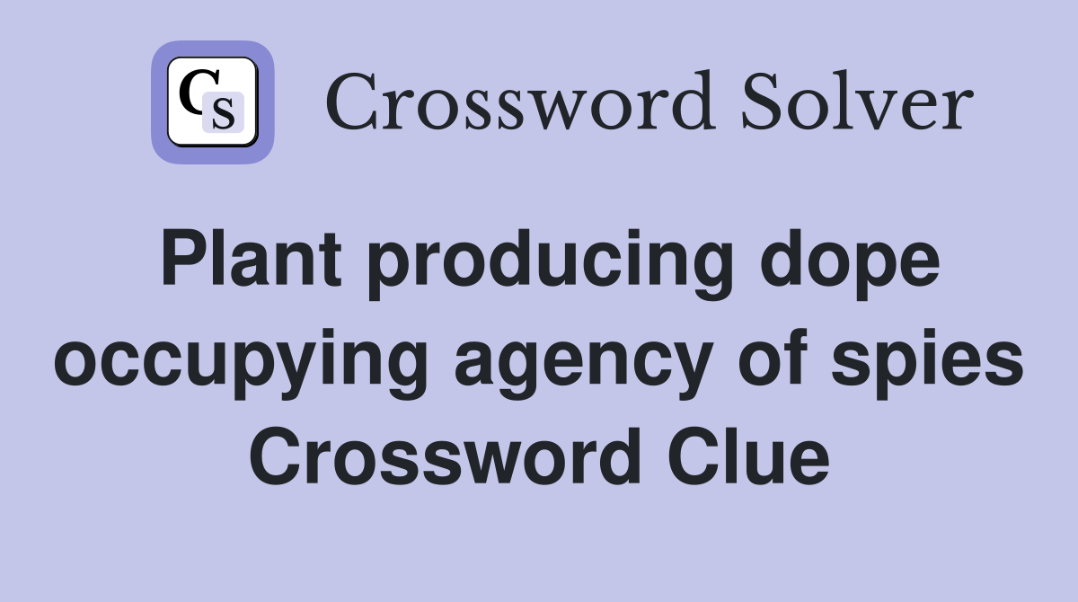 Plant producing dope occupying agency of spies Crossword Clue