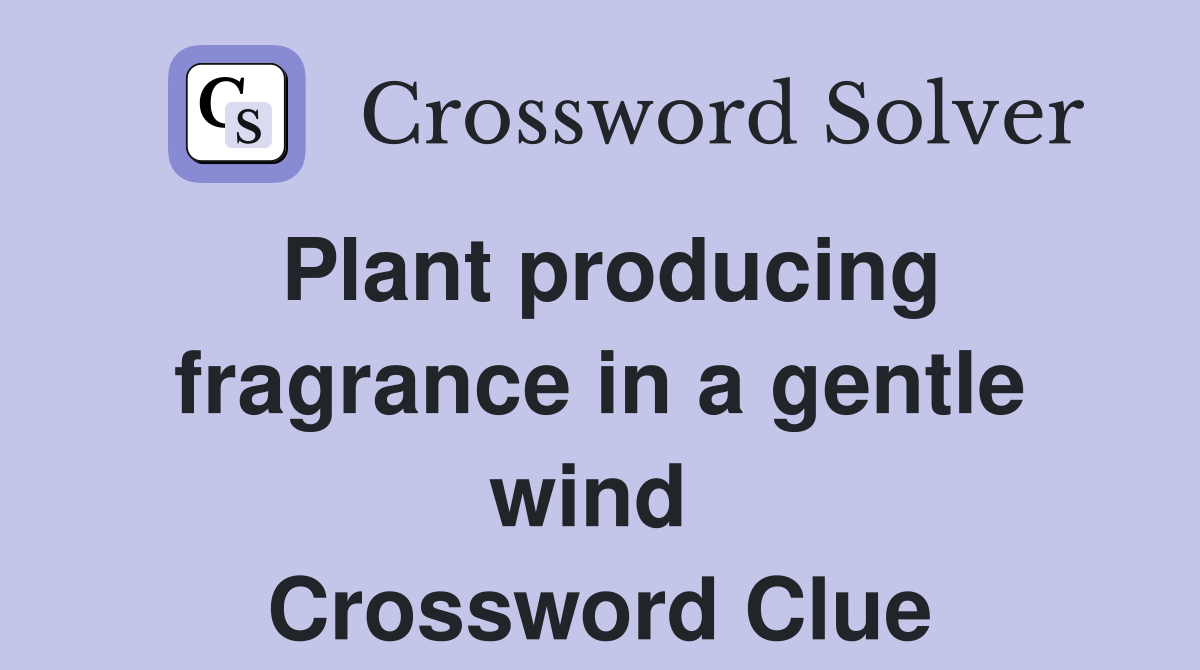 Plant producing fragrance in a gentle wind  Crossword Clue