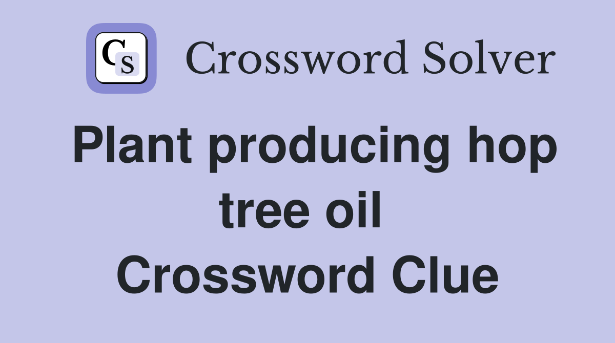 Plant producing hop tree oil  Crossword Clue