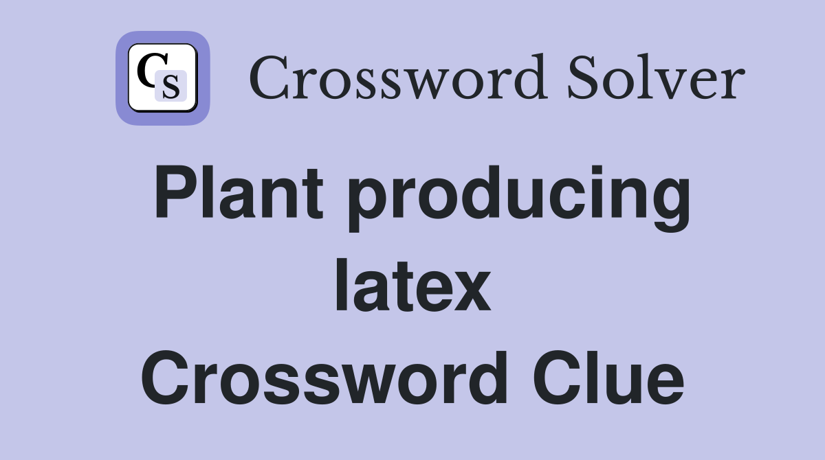 Plant producing latex Crossword Clue