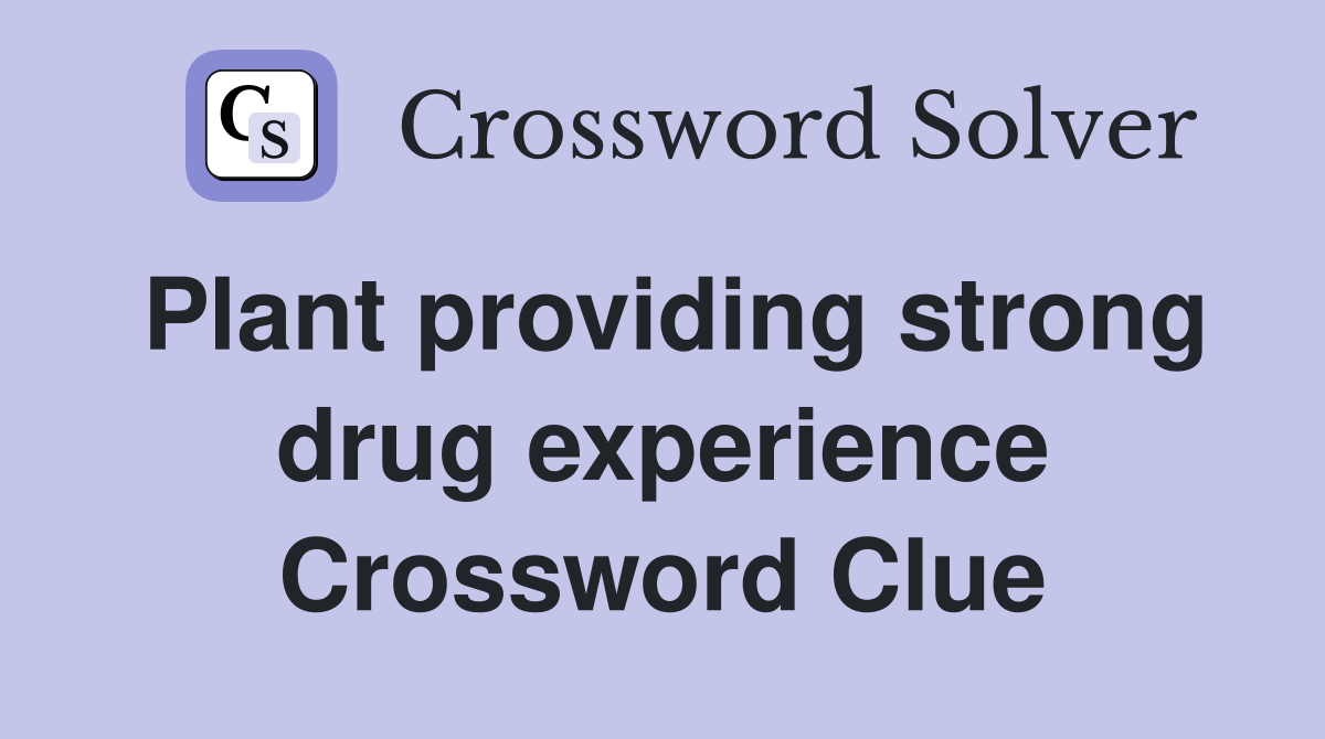 Plant providing strong drug experience Crossword Clue