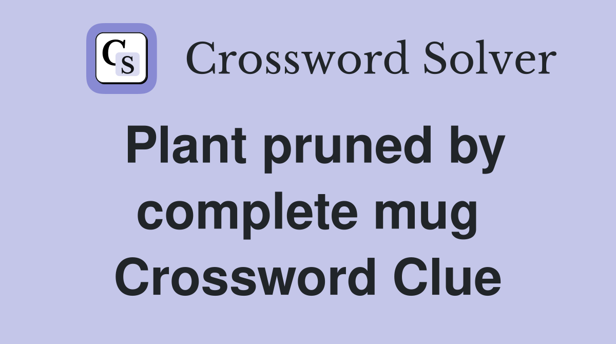 Plant pruned by complete mug Crossword Clue