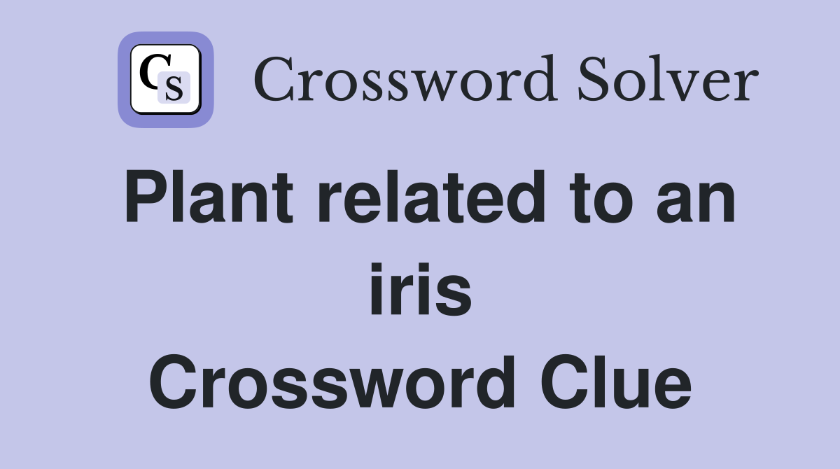Plant related to an iris Crossword Clue