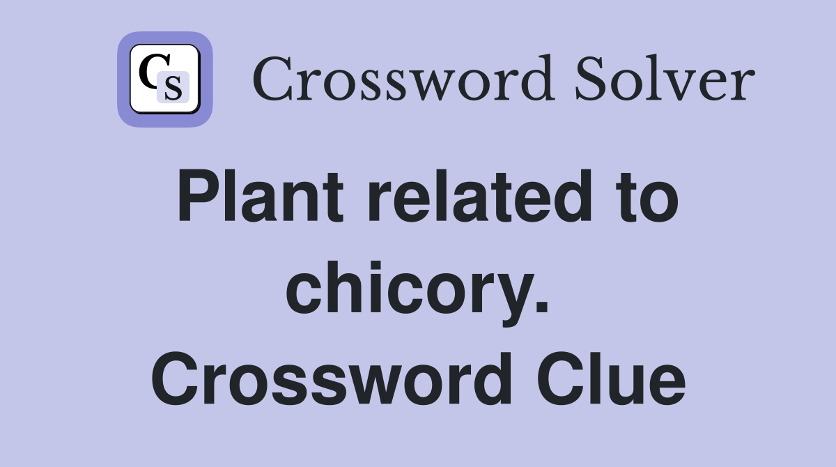 Plant related to chicory. Crossword Clue