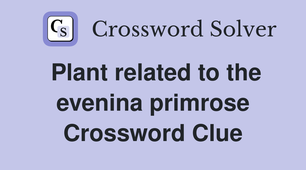 Plant related to the evenina primrose Crossword Clue