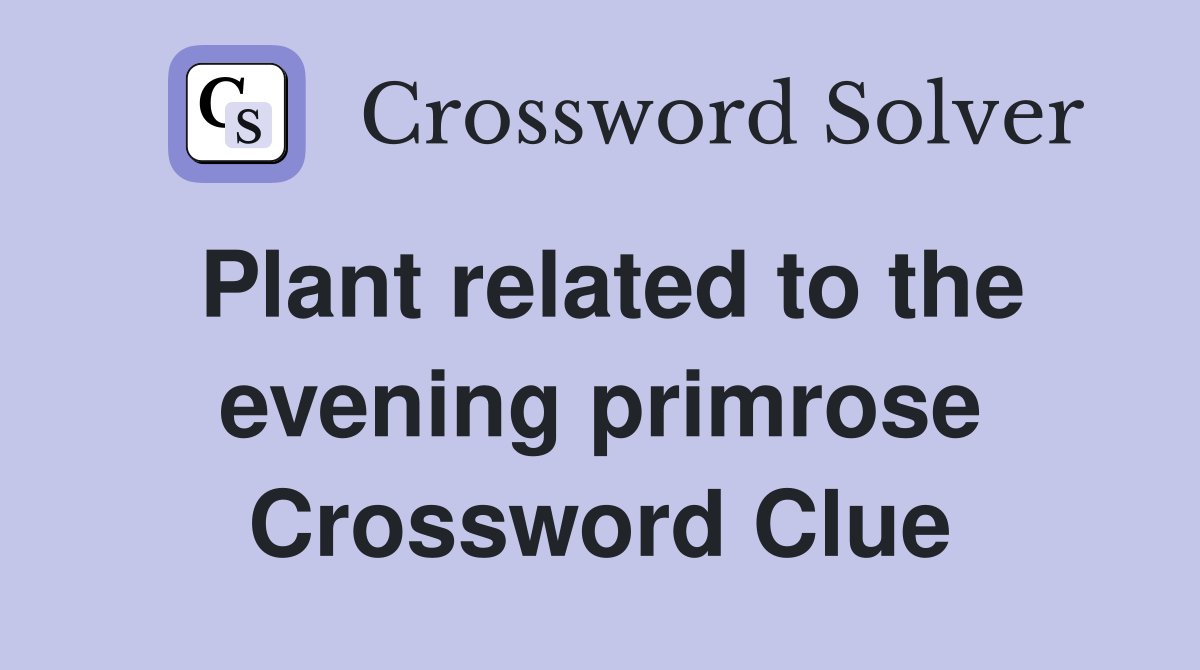 Plant related to the evening primrose Crossword Clue
