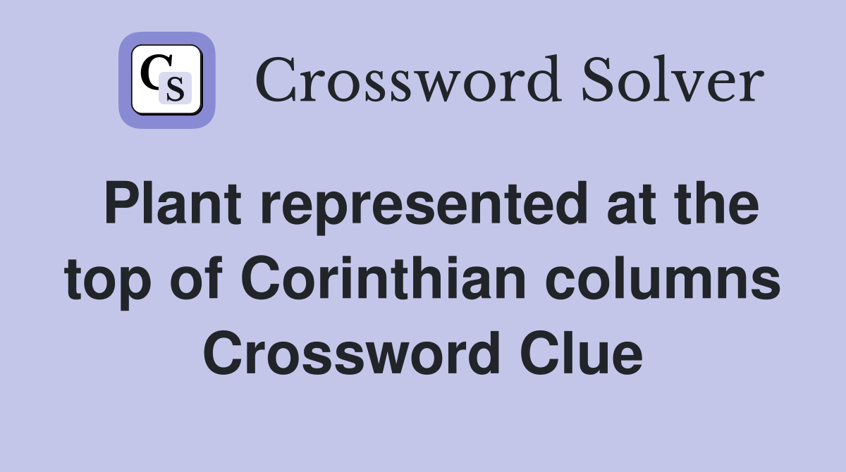Plant represented at the top of Corinthian columns Crossword Clue