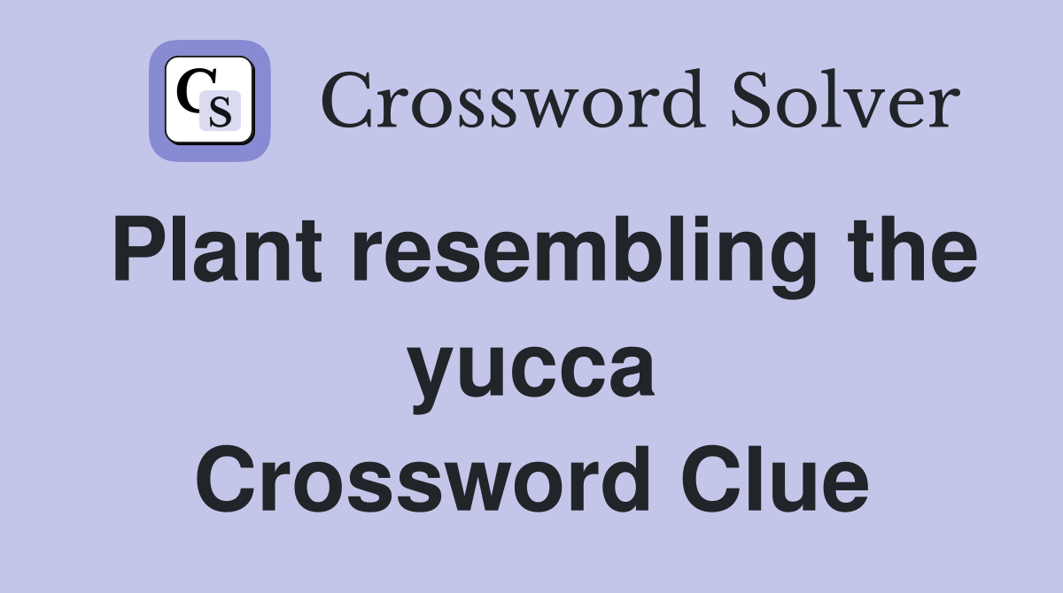 Plant resembling the yucca Crossword Clue