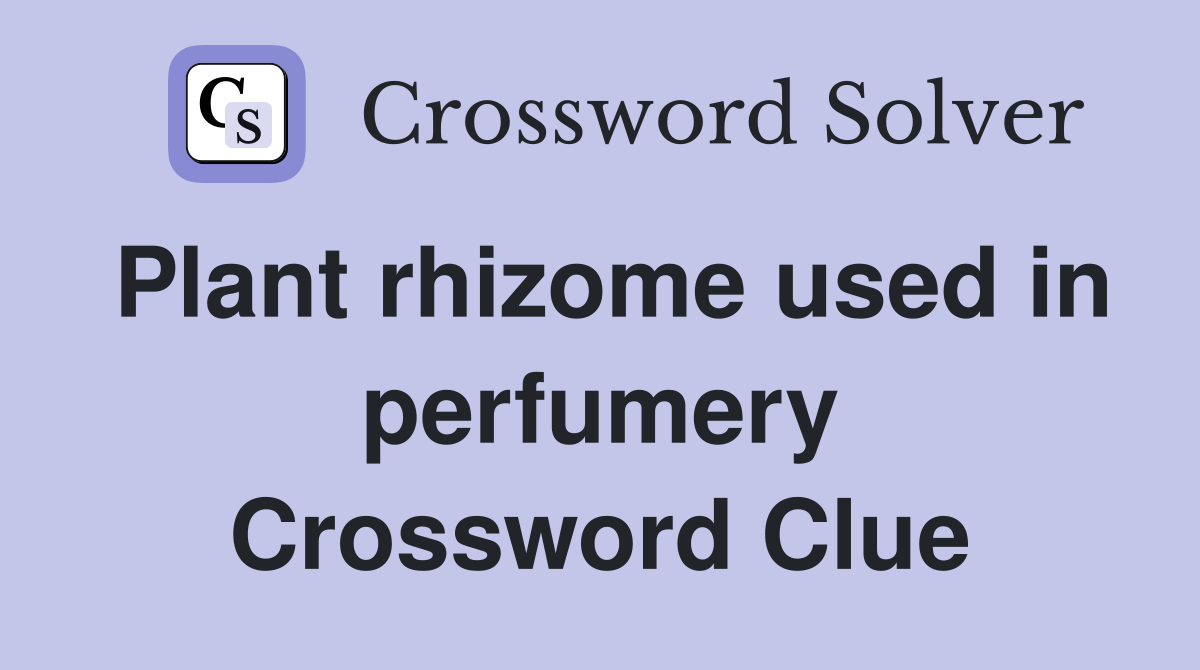 Plant rhizome used in perfumery Crossword Clue