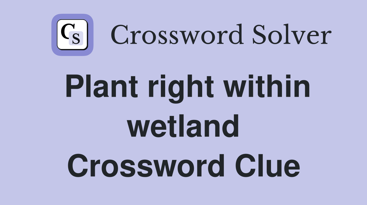 Plant right within wetland Crossword Clue
