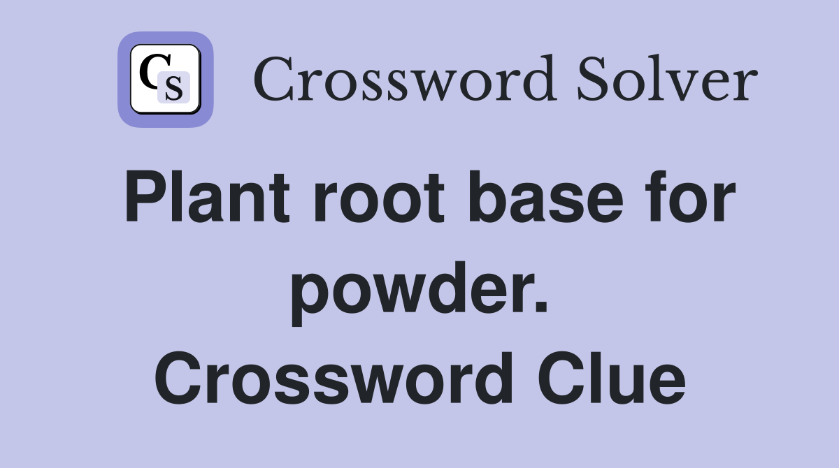 Plant root base for powder. Crossword Clue