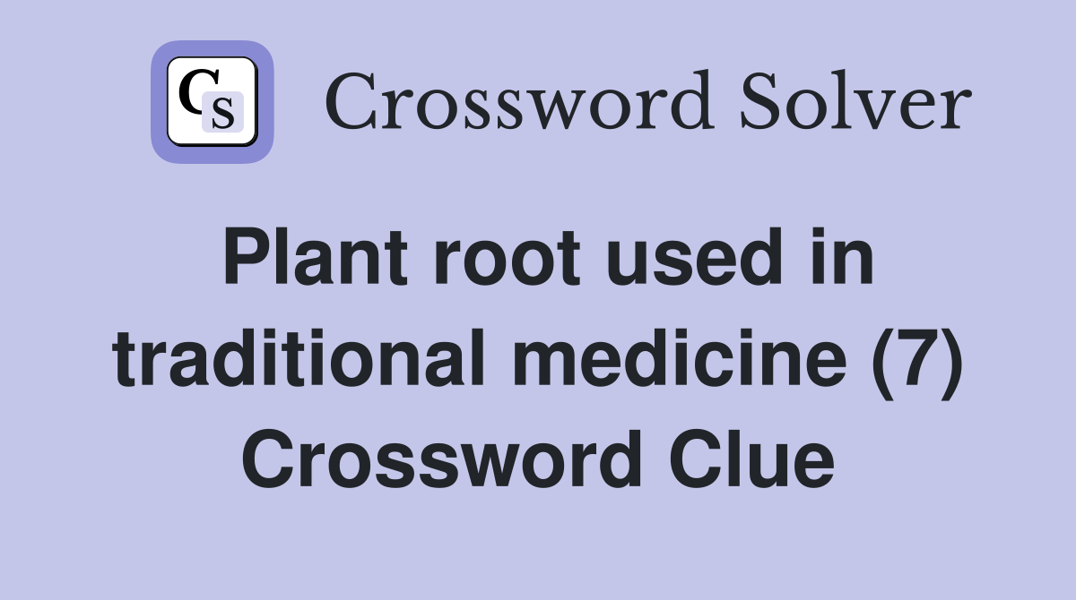 Plant root used in traditional medicine (7) Crossword Clue