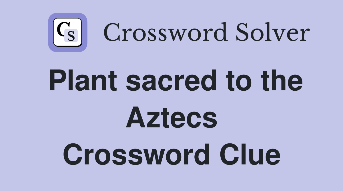 Plant sacred to the Aztecs Crossword Clue