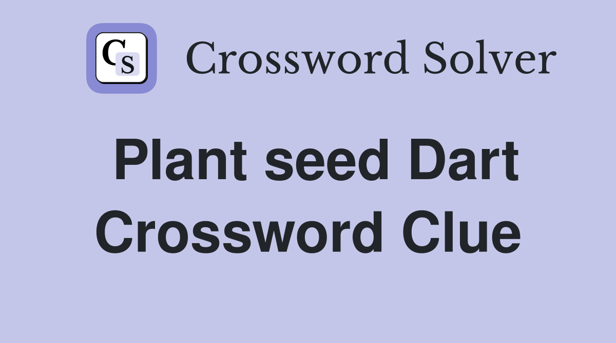 Plant seed Dart Crossword Clue