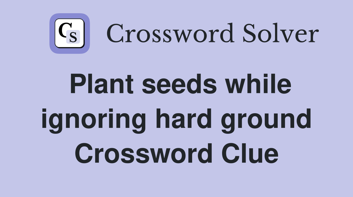 Plant seeds while ignoring hard ground Crossword Clue