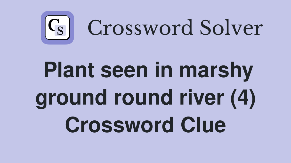 Plant seen in marshy ground round river (4) Crossword Clue