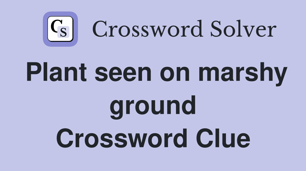Plant seen on marshy ground Crossword Clue