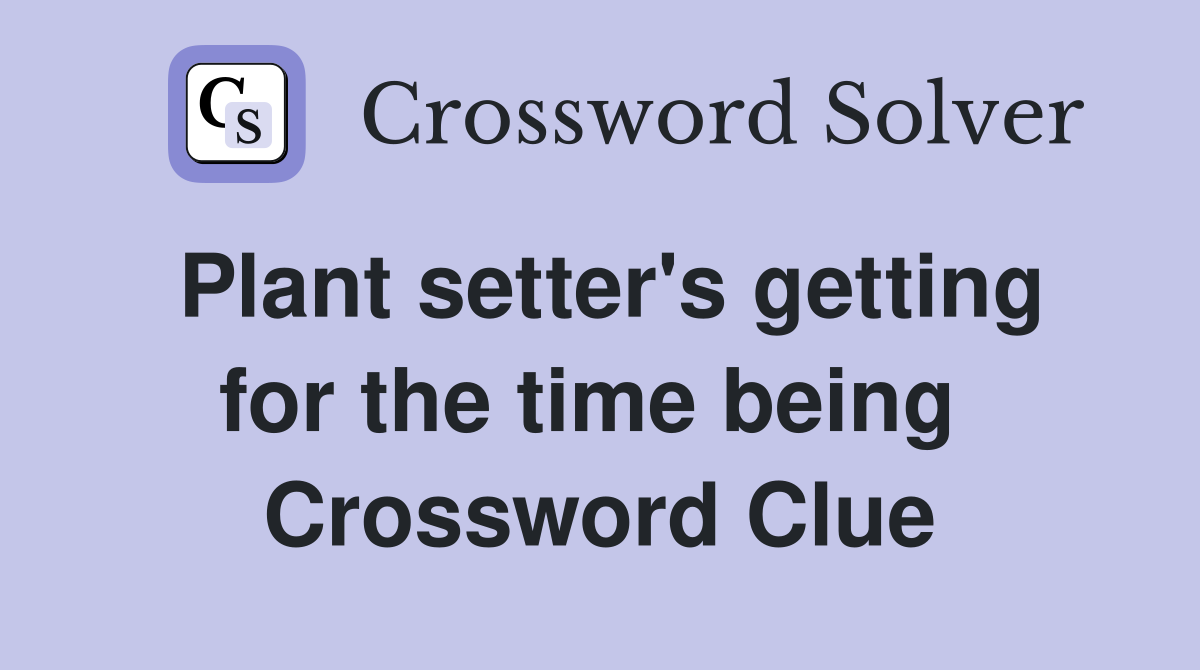 Plant setter's getting for the time being  Crossword Clue