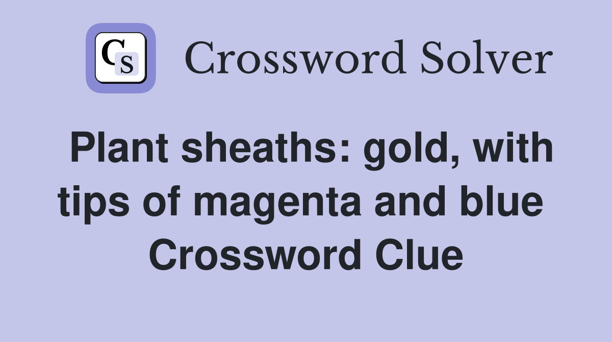 Plant sheaths: gold, with tips of magenta and blue  Crossword Clue