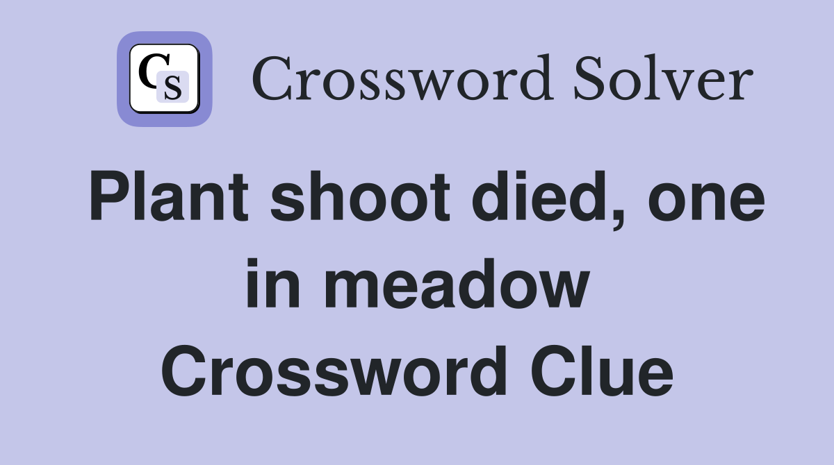 Plant shoot died, one in meadow Crossword Clue