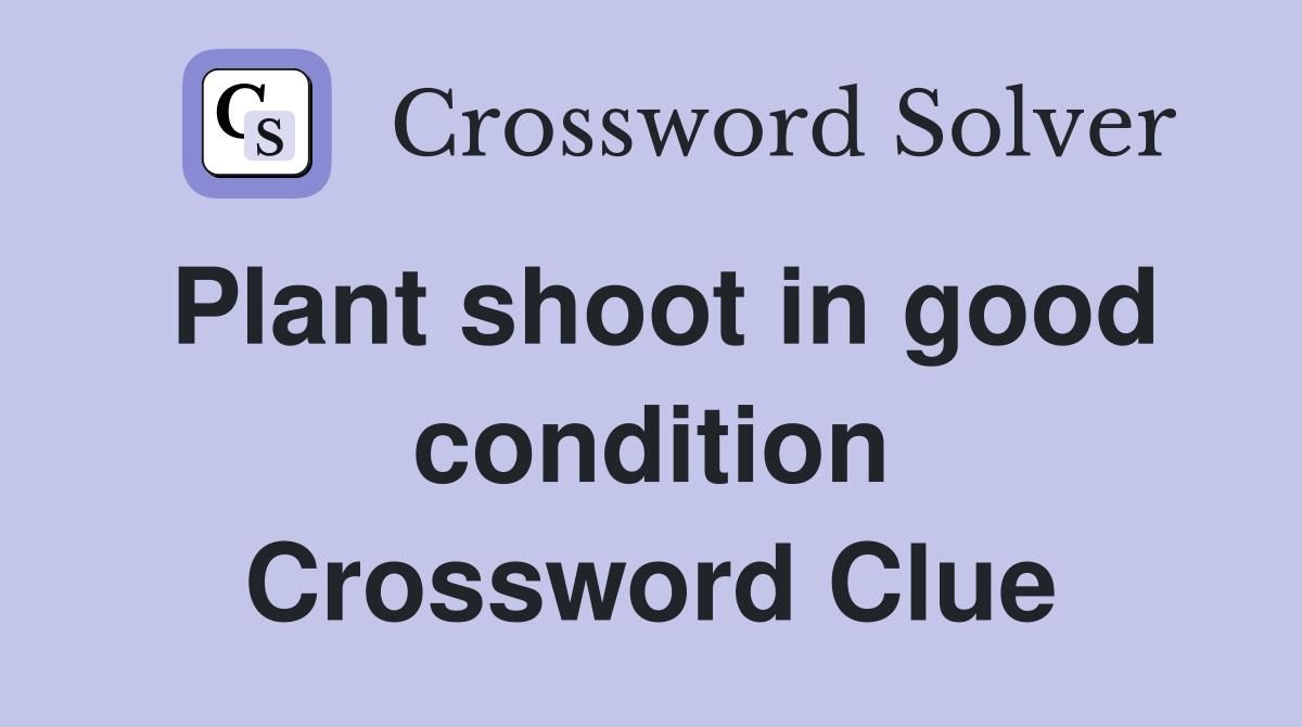Plant shoot in good condition Crossword Clue