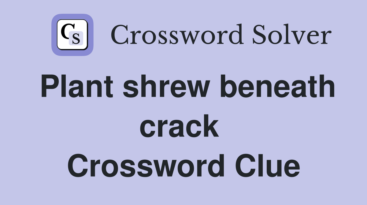 Plant shrew beneath crack  Crossword Clue