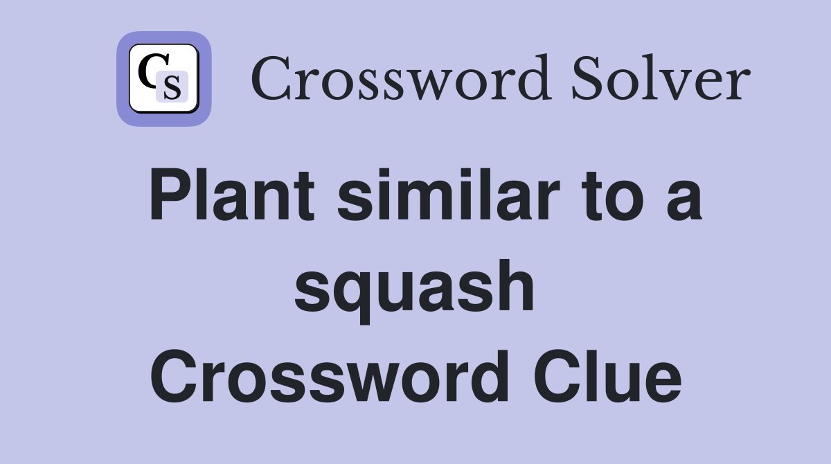 Plant similar to a squash Crossword Clue