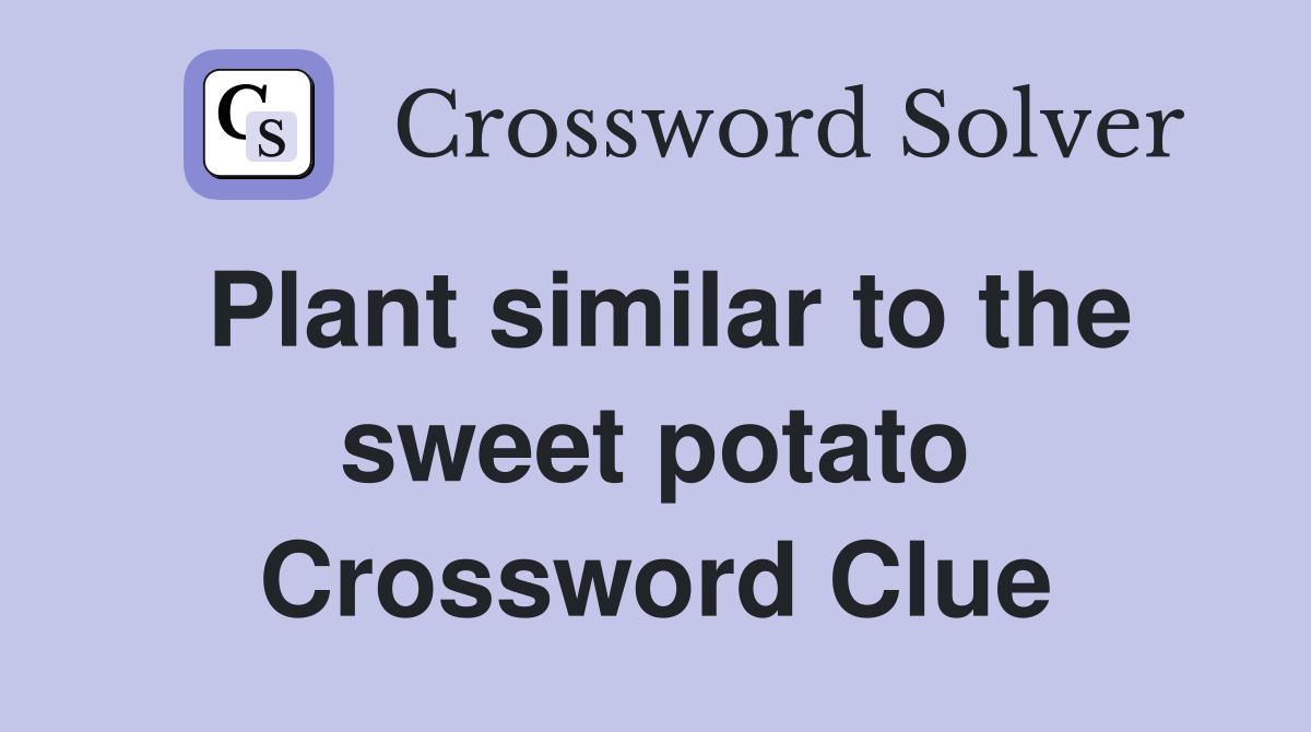Plant similar to the sweet potato Crossword Clue