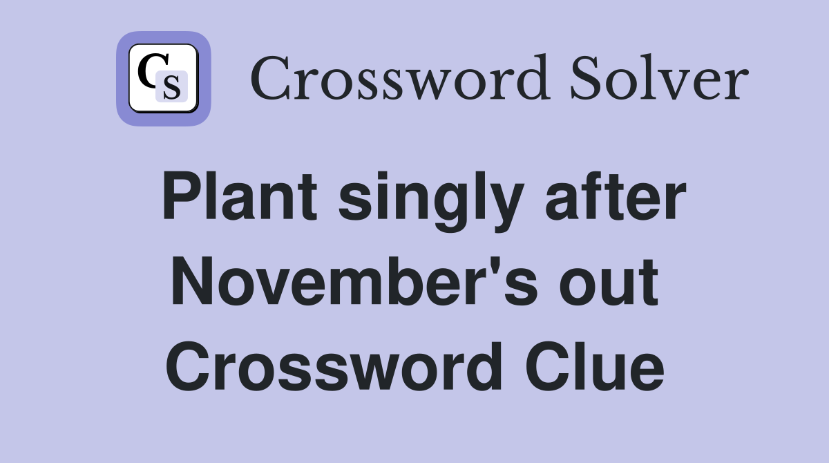 Plant singly after November's out Crossword Clue