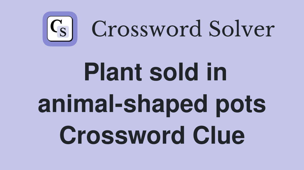Plant sold in animal-shaped pots Crossword Clue