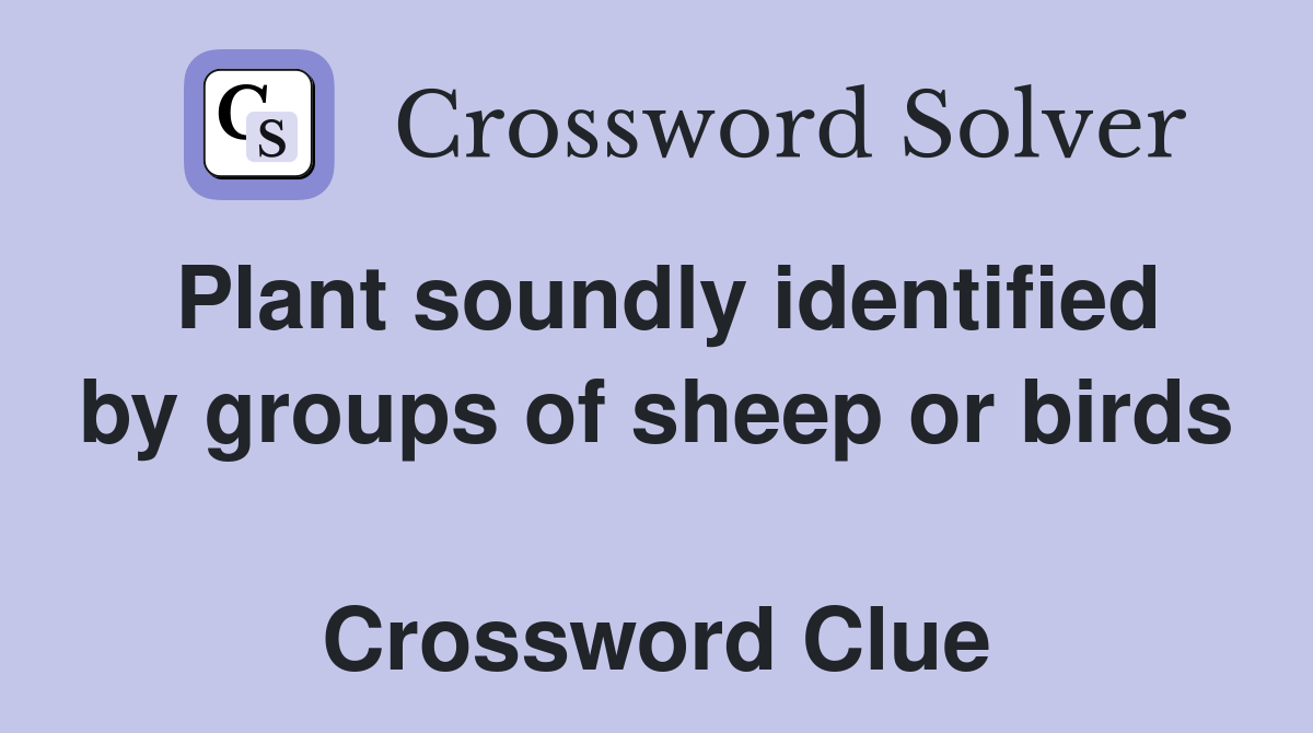 Plant soundly identified by groups of sheep or birds  Crossword Clue