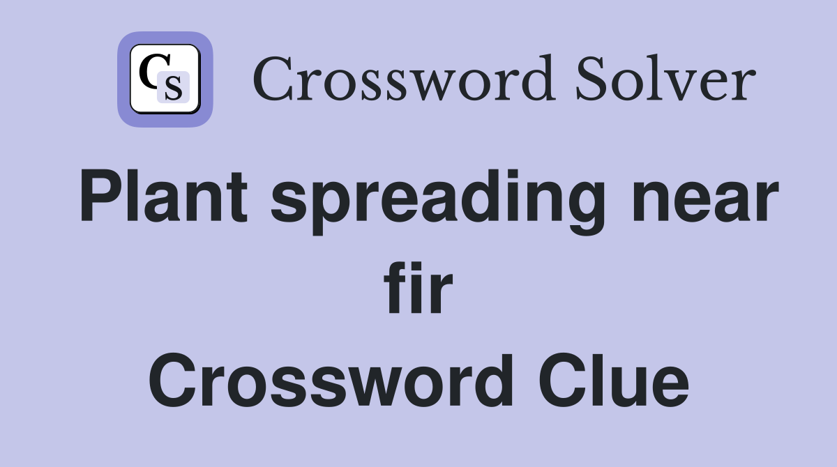 Plant spreading near fir Crossword Clue
