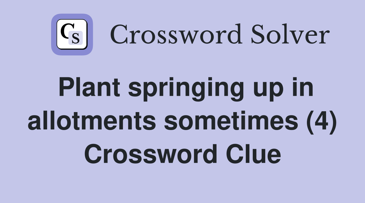 Plant springing up in allotments sometimes (4) Crossword Clue