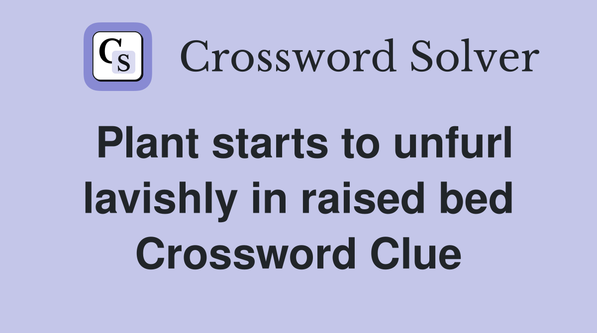 Plant starts to unfurl lavishly in raised bed Crossword Clue
