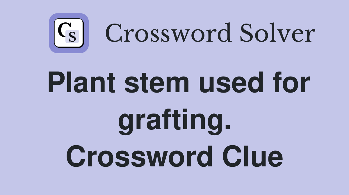 Plant stem used for grafting. Crossword Clue