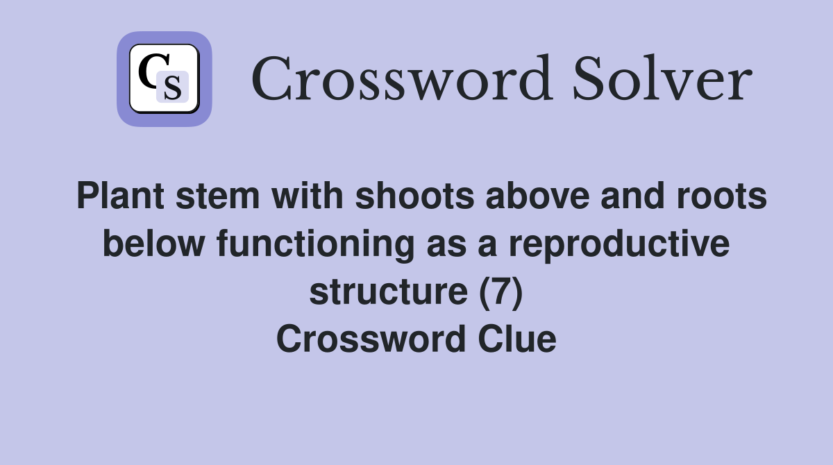 Plant stem with shoots above and roots below functioning as a reproductive structure (7) Crossword Clue