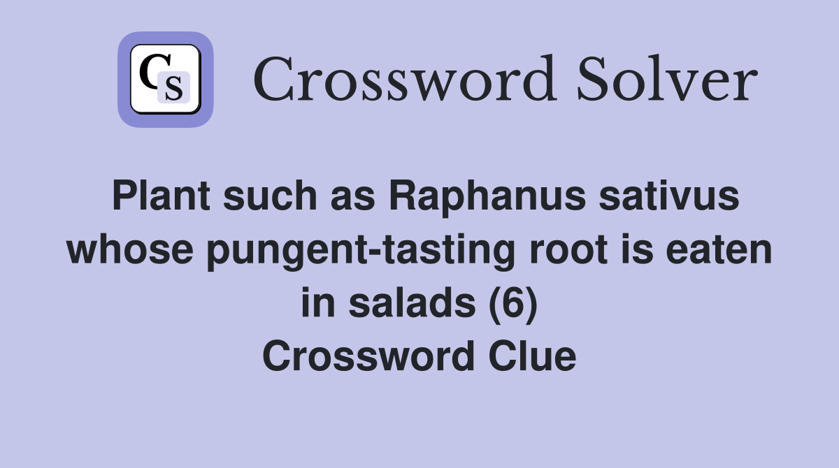 Plant such as Raphanus sativus whose pungent-tasting root is eaten in salads (6) Crossword Clue