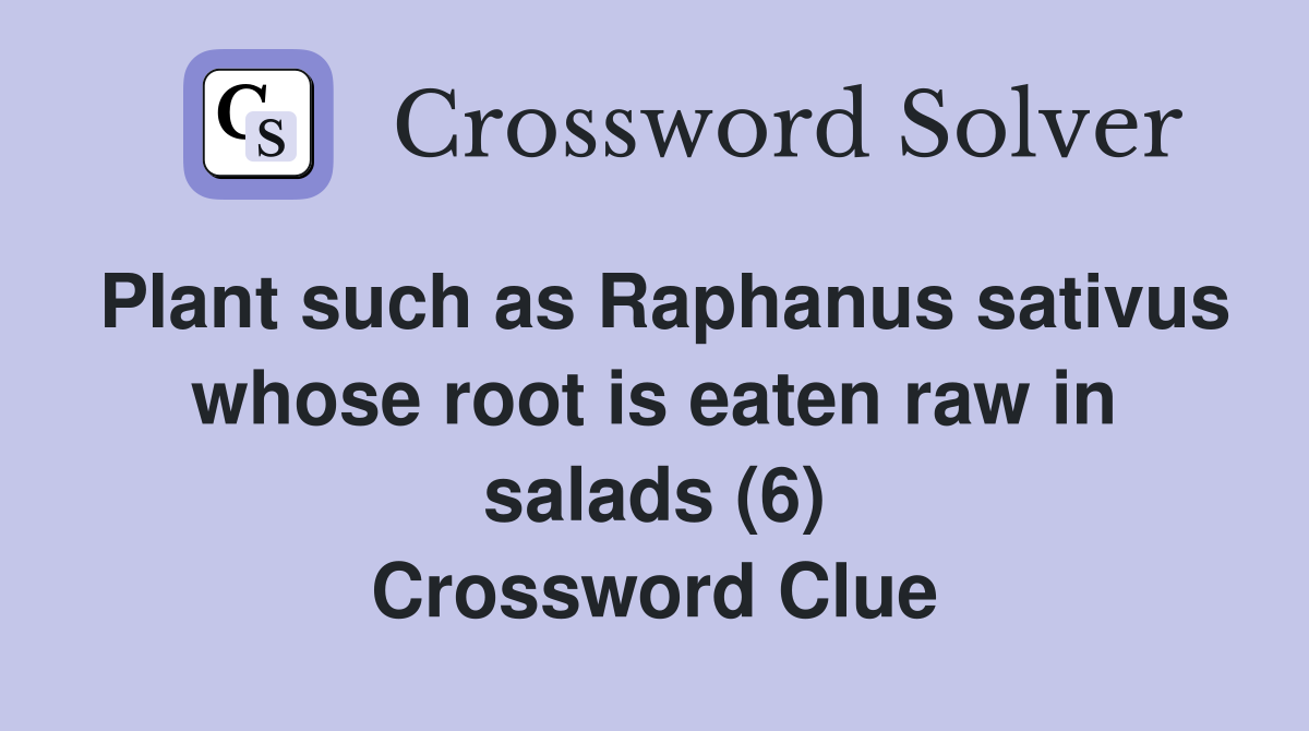 Plant such as Raphanus sativus whose root is eaten raw in salads (6) Crossword Clue