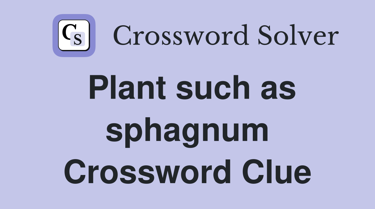 Plant such as sphagnum Crossword Clue