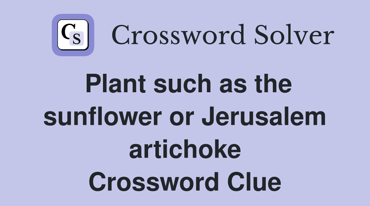 Plant such as the sunflower or Jerusalem artichoke Crossword Clue