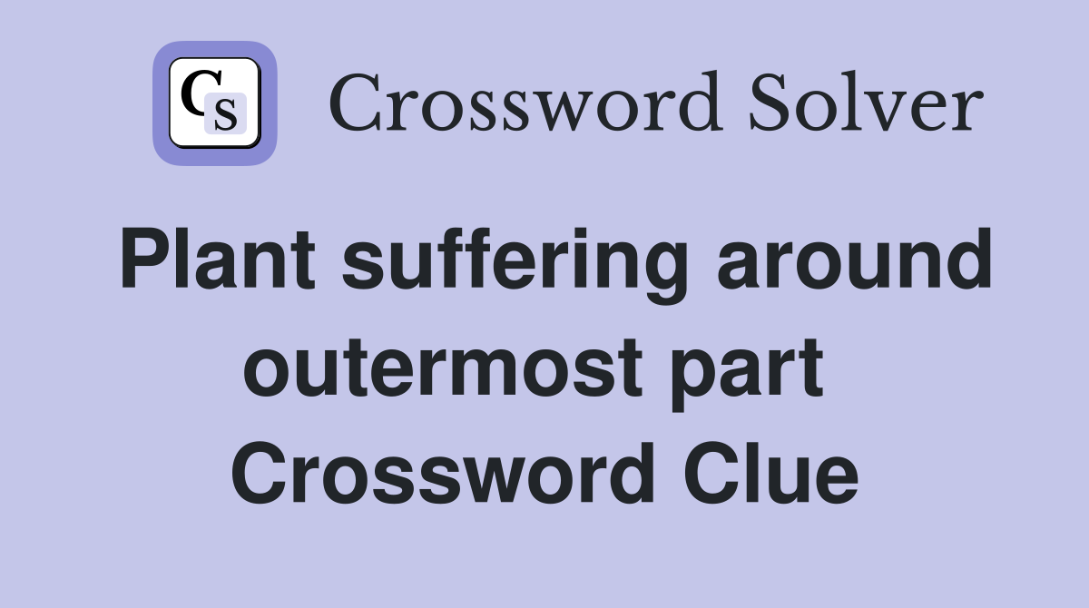 Plant suffering around outermost part  Crossword Clue