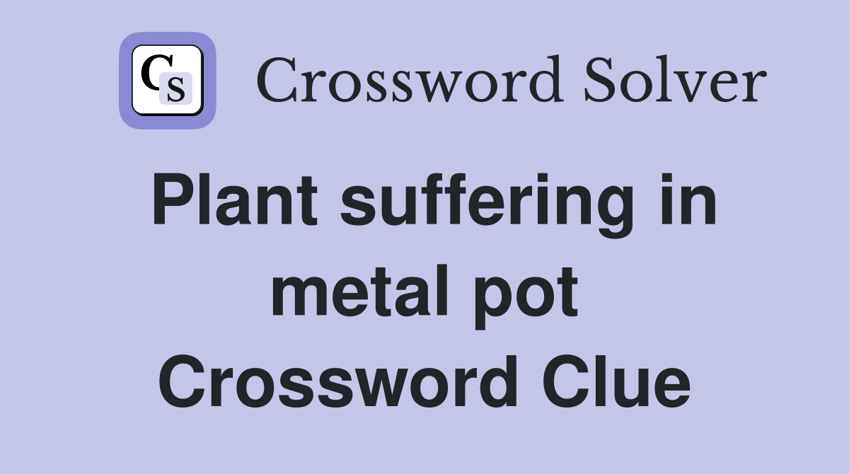 Plant suffering in metal pot Crossword Clue