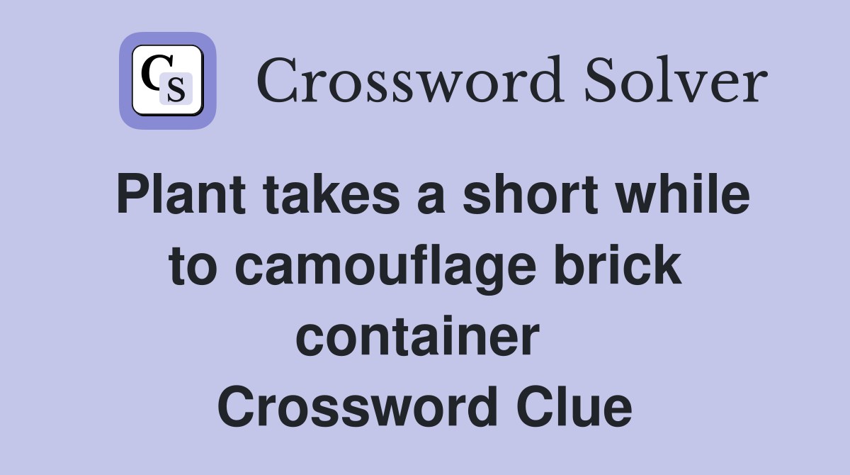 Plant takes a short while to camouflage brick container  Crossword Clue