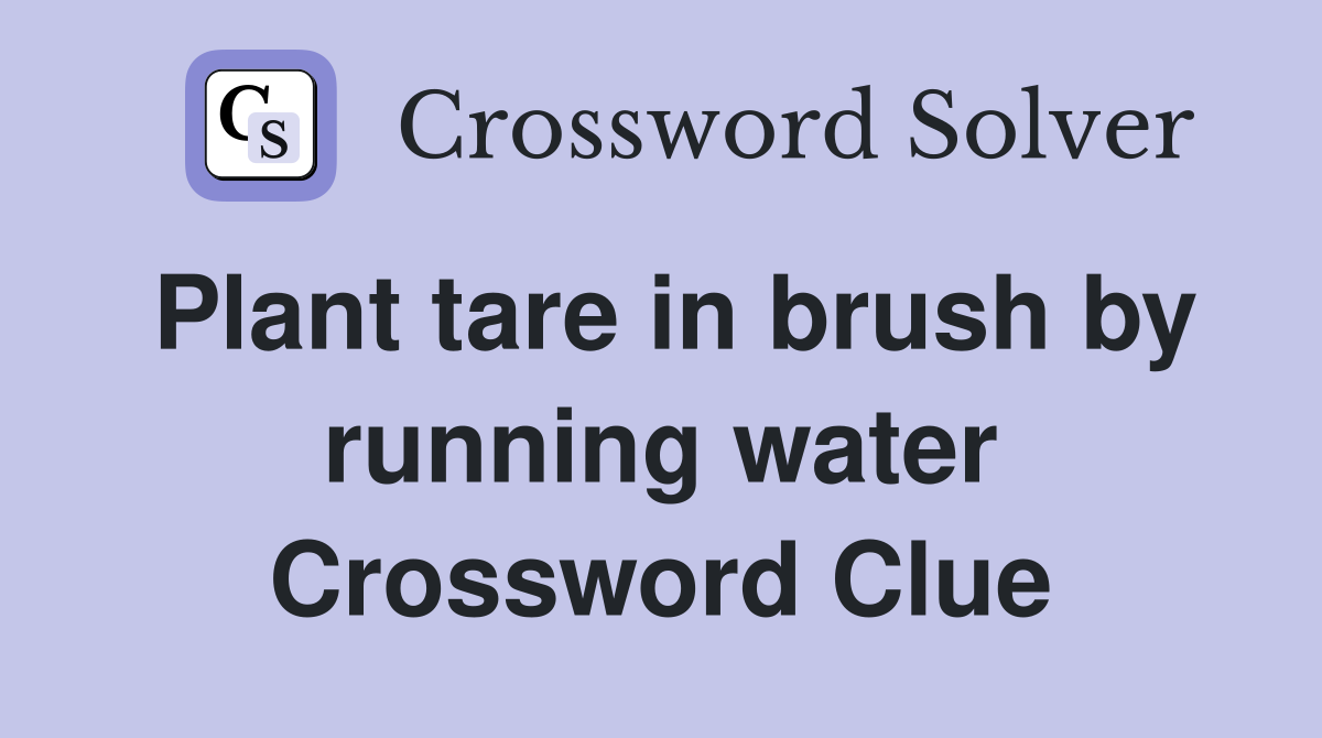 Plant tare in brush by running water Crossword Clue