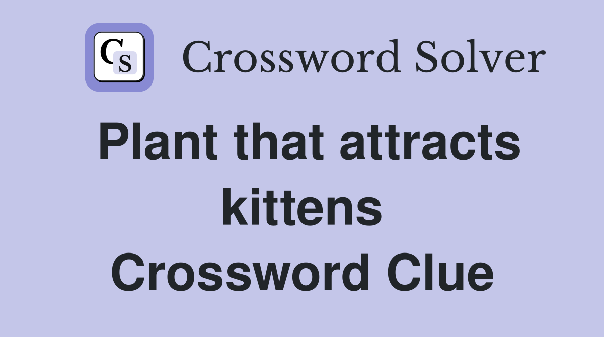 Plant that attracts kittens Crossword Clue