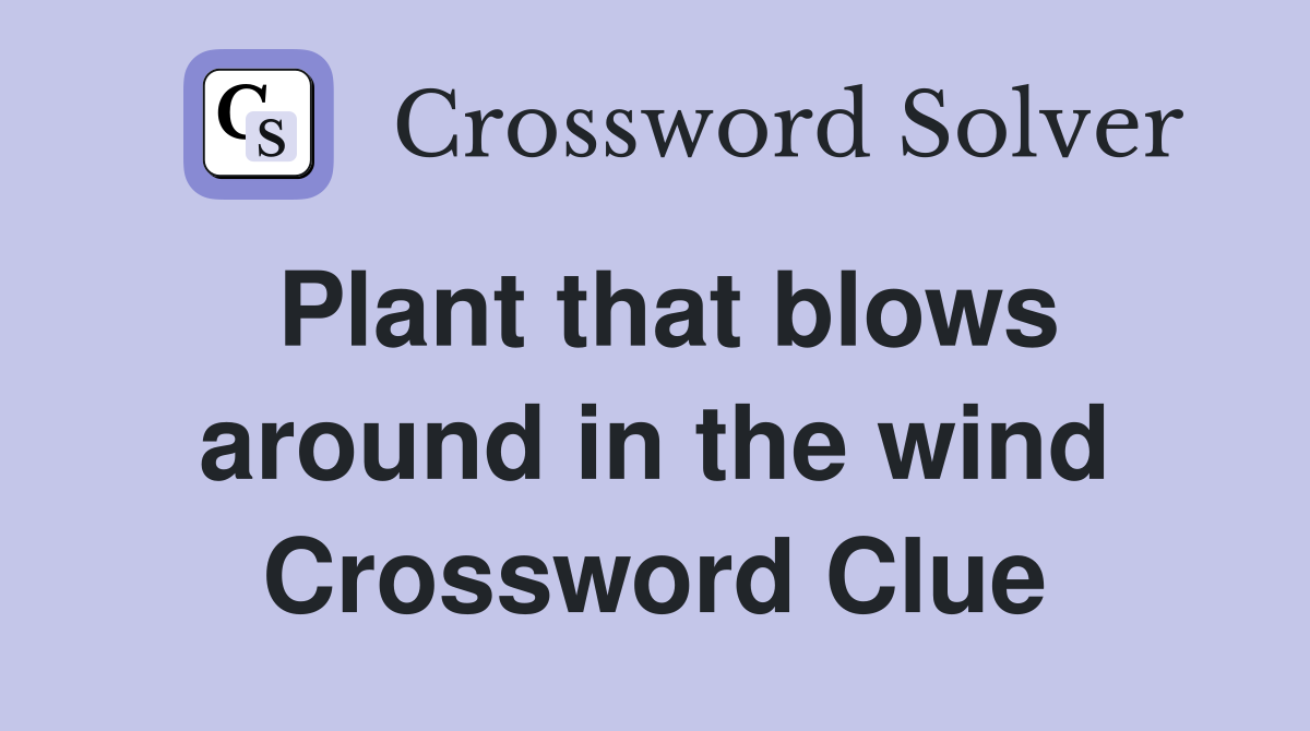 Plant that blows around in the wind Crossword Clue