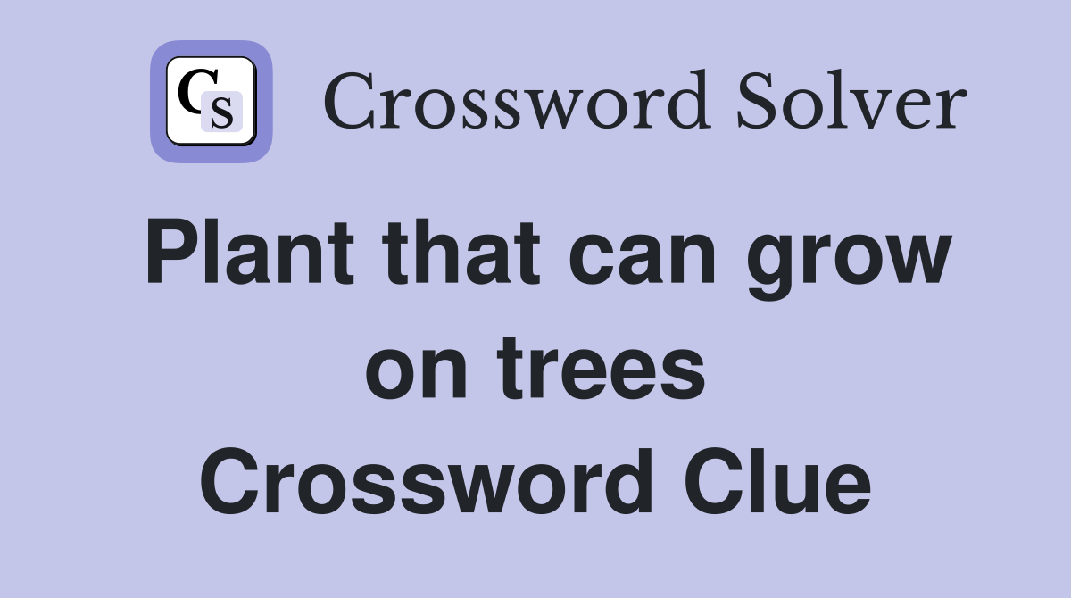 Plant that can grow on trees Crossword Clue
