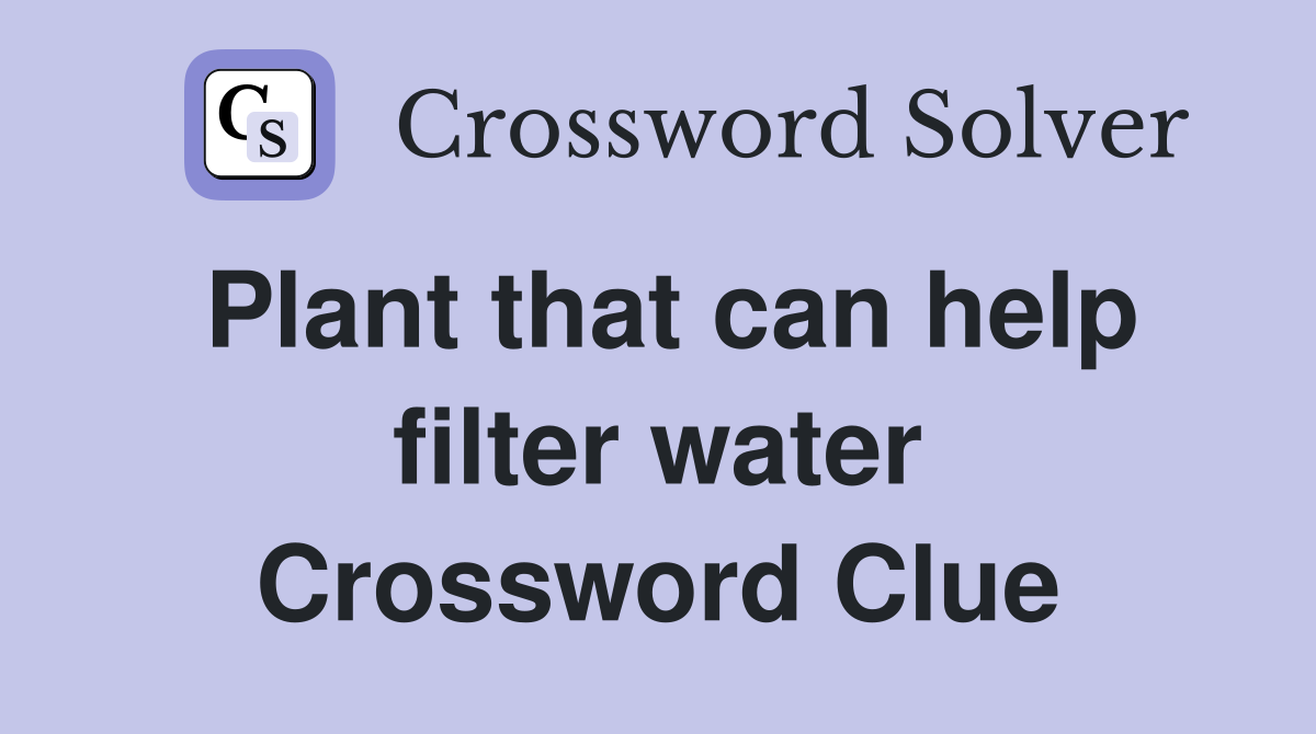 Plant that can help filter water Crossword Clue