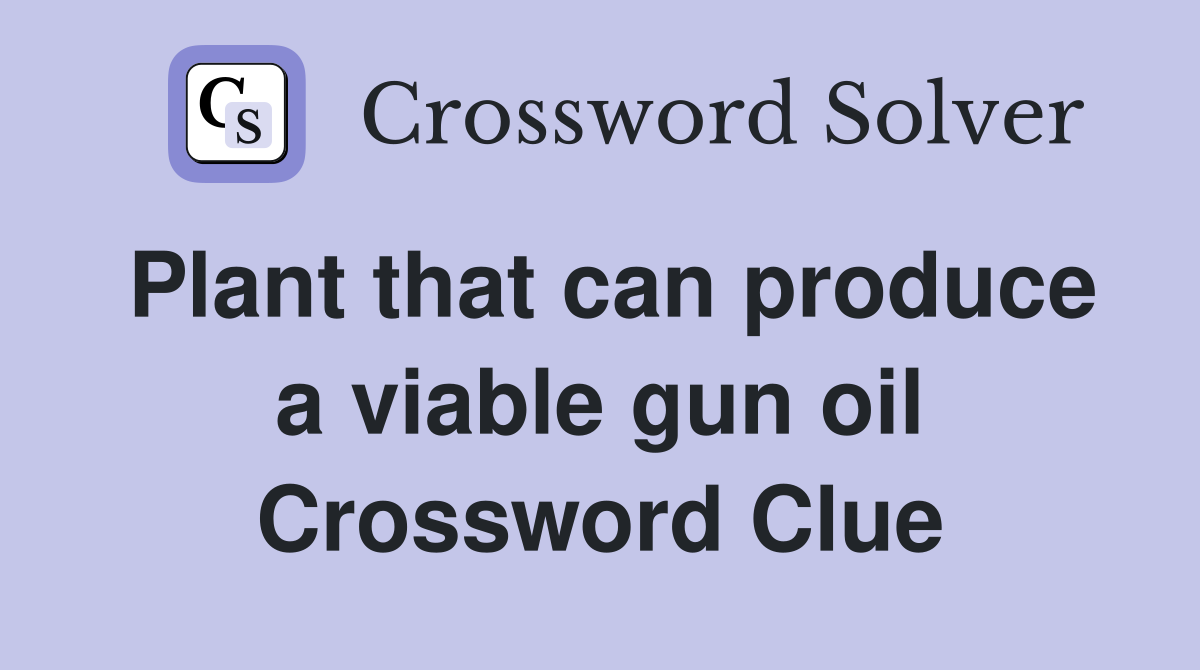 Plant that can produce a viable gun oil Crossword Clue